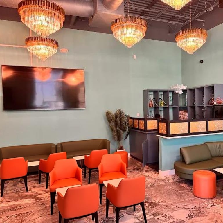 Vibrant Dining Experience